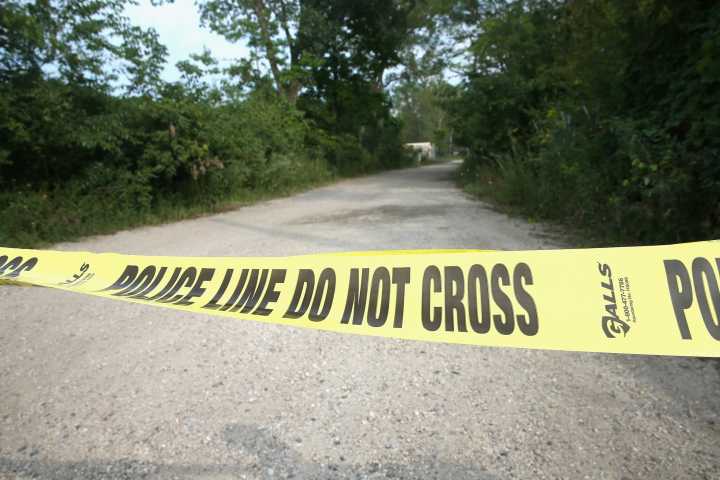 Man dies in suspected bear attack at Arkansas campsite: Officials