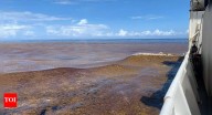 The bizarre 8,850 km phenomenon in the Atlantic that keeps expanding