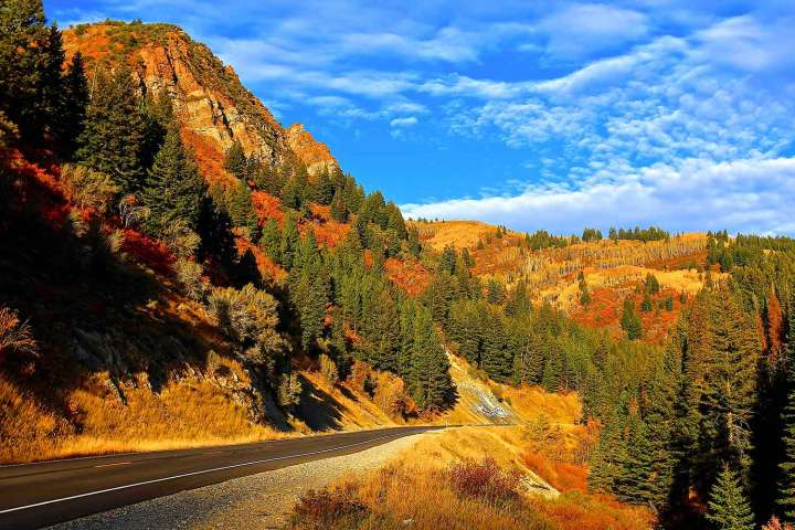 Dad Protected His 3 Young Kids After Getting Lost on a Hike: Family