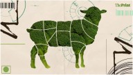Hitlerite vegetarianism is not virtue. India’s food debates need more science, less sentiment