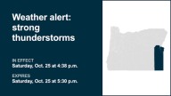 Update: Thunderstorms with pea-sized hail in Oregon Lower Treasure Valley and Malheur County Saturday