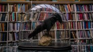 A tale of a Providence library, love and horror bind Poe, Lovecraft