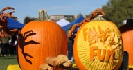 Aurora hosts free family-friendly festivities at Fall Into Fun event on Saturday, Oct. 25