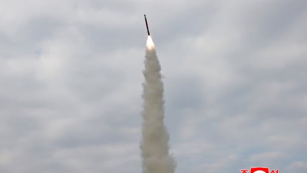 North Korea says it test-fired cruise-missiles hours ahead of Trump's arrival in South Korea