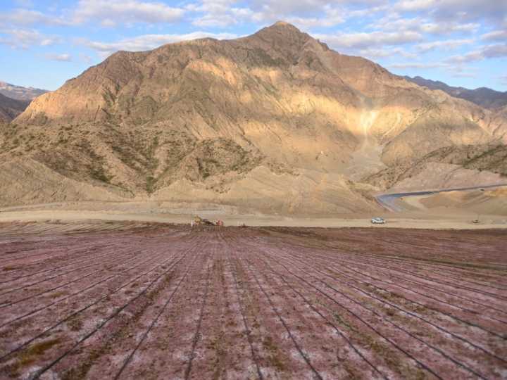 Una minera del grupo Elsztain arranca con la explotación de oro en San Juan