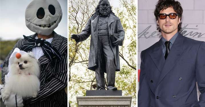 What has 11 questions and makes you feel smart? Our news quiz!