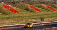 Giant poppies appear on M8 between Glasgow and Edinburgh