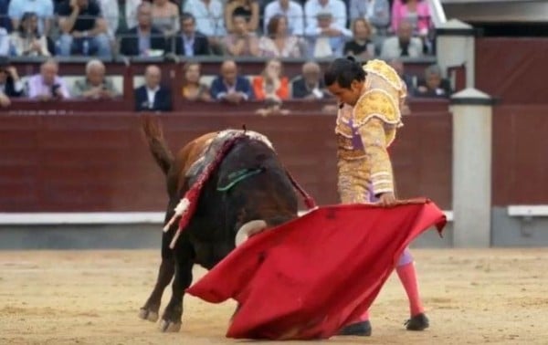 Regresa Diego San Román a Juárez tras triunfar en Nimes y Logroño