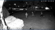 DeKalb Police seek public's help in effort to stop burglaries