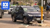 Police tactical operation in Revesby leaves cars with bullet holes, windows smashed