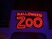 Profepa realizará revisión al Festival Halloween en el Zoo