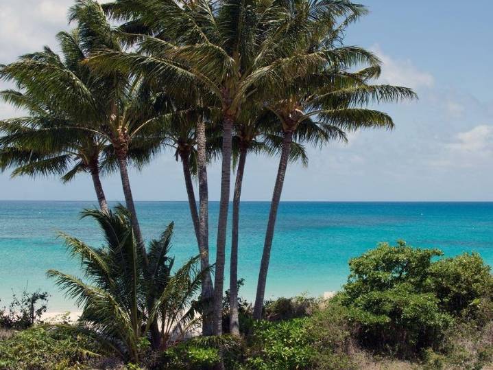 Cruise passengerfound dead after being abandoned on island