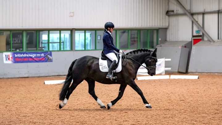 ‘All horses can shine’: meet the ‘miracle’ dressage cob who defied the odds to succeed after a host of veterinary issues