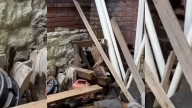 Rescuer Shocked To Find A Terrified Dog Fighting To Survive In An Abandoned Building In Missouri