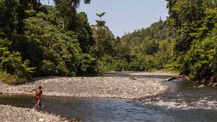 Uncontacted Indigenous Tribes Are at Risk Thanks to Clout Goblin Influencers