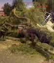 TRÁILER CARGADO DE MOTOCICLETAS CHOCÓ Y TIRÓ UN ÁRBOL EN LA CALZADA IGNACIO ZARAGOZA