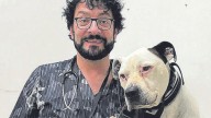 Mascotas como terapia: «Los animales nos ayudan a modular el dolor»