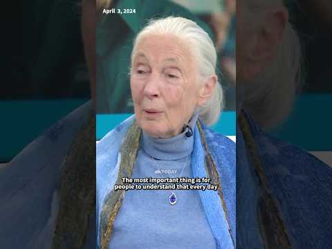 In 2024, Jane Goodall Spoke to TODAY About How to Do Good on Earth