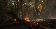 University of Kentucky students gain real-world firefighting experience as 'Fire Cats'