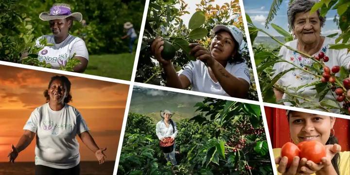 15 de octubre: Día Internacional de las Mujeres Rurales — guardianas de la tierra y del futuro sostenible
