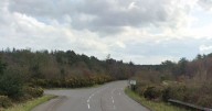 Live: A380 blocked as tree falls across road