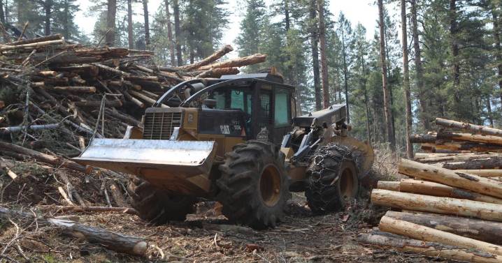 Flagstaff Fire Department, Sustainability Office partner on pilot program for wildfire risk reduction