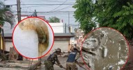 Tras inundaciones en Poza Rica, Veracruz, aparecen gusanos “cola de rata”: Estos son los síntomas ante posible transmisión de infecciones por contacto
