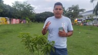 Vecinos de la comuna 3 se oponen a traslado de 70 árboles por la Feria de Cali