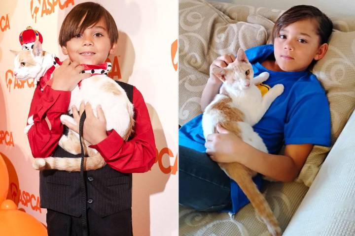 9-Year-Old Hero Sacrifices Skateboard to Save Kitten, Wins ASPCA Award (Exclusive)