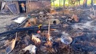 Suspected miscreants from Nagaland set ablaze houses in Assam’s Golaghat district