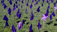 West Jordan displays scale of domestic violence with field of flags, pinwheels