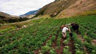 Denuncian contrabando de mercancía desde Colombia
