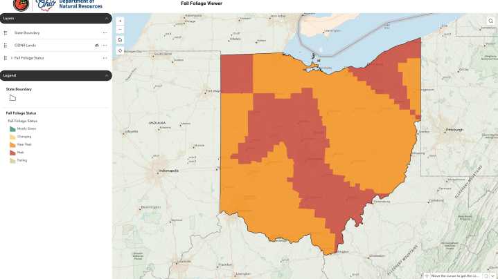 Explosion of fall color across Greater Akron