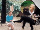 ¿Quién fue Jane Goodall? La etóloga que nos enseñó a amar a los chimpancés