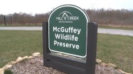 McGuffey wildlife preserve still in need of restoration, Youngstown council weighs in