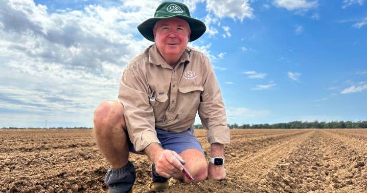Optimism as NSW cotton season begins with strong yields