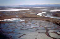 Trump administration finalizes plan to open pristine Alaska wildlife refuge to drilling