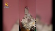 Desmantelada una red de distribución de hachís y cocaína asentada en Madrid y Toledo