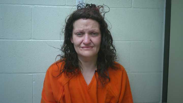 Dickinson woman arrested after allegedly assaulting police officer