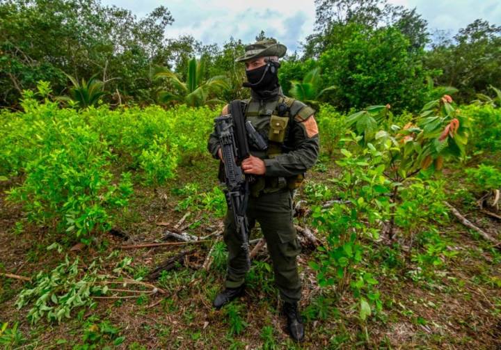 Toward an Anti-Capitalist Drug Policy