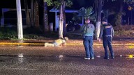 Hallan a hombre asesinado y amarrado en San Pedro, Navolato