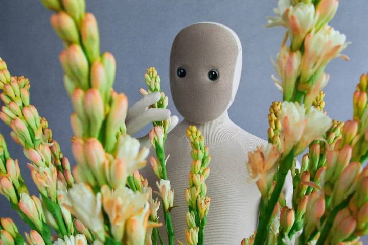 1X Technologies presenta Neo: el robot que revolucionará las tareas del hogar por $ 20.000