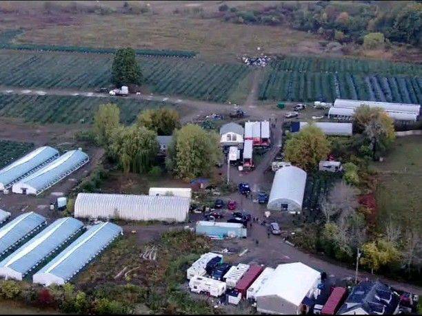 Tyendinaga drug raids: 10 charged, 72,000 plants seized