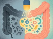 Posbióticos, la nueva era de la salud intestinal que supera a los probióticos