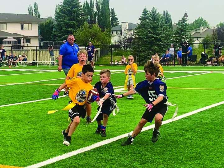 Beaumont Bears roar through remarkable season