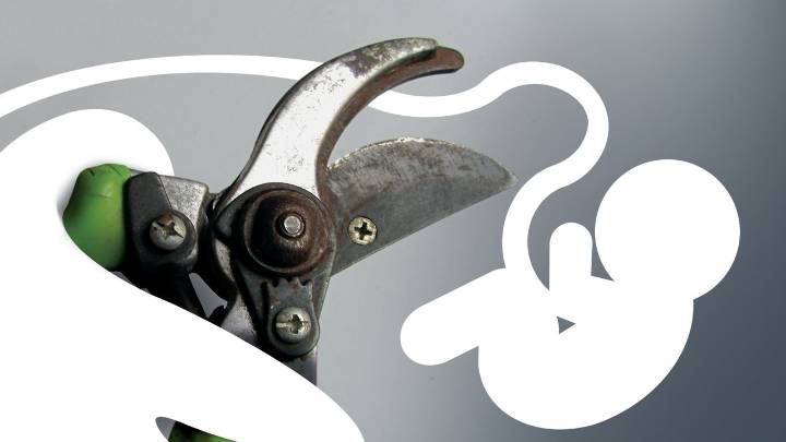 «Como las generaciones de las hojas…»