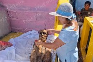Conoce el Choo Ba’ak, un ritual de conexión espiritual en Pomuch, Hecelchakán en Campeche