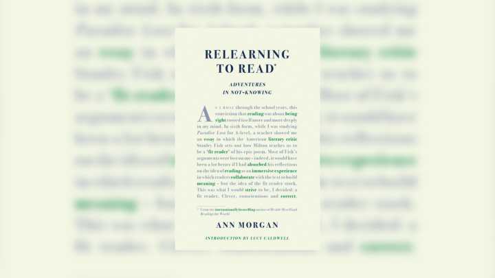 Relearning to Read by Ann Morgan review 