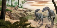 Descubrieron en La Rioja uno de los dinosaurios más antiguos del mundo