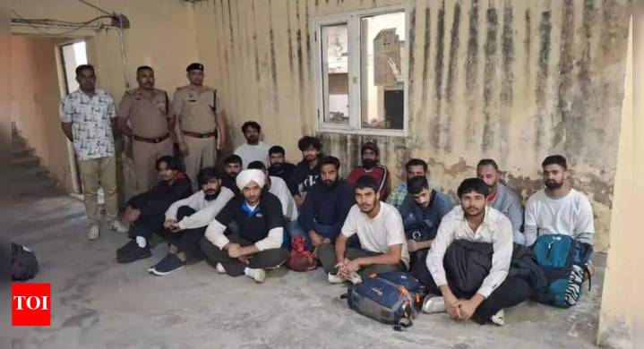 Sold land, crossed jungles, jailed abroad: 50 Haryana youths handcuffed, deported from US; agent vanishes with crores